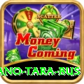 saano tara bus Turbo v2.5.6
