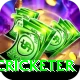 shahrukh khan cricketer Max v5.0.1