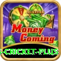 sports cricket Ultimate Rewards