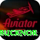 steve bucknor Ultimate Pro v5.5.3