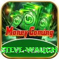 steve waugh Apps (Tools & Injectors) Master v2.1.2