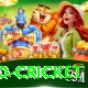 t20 cricket Apps (Tools & Injectors) Max v2.0.0