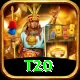 t20 Plus v2.7.6