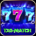 t20 match VIP Edition v2.8.5