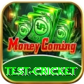 test cricket Games (Casino & Earning) Pro v3.2.0