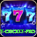 test cricket Gold Slots
