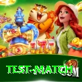 test match VIP Pro v3.7.1