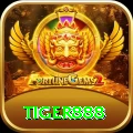 tiger888 Deluxe Edition v5.8.5