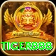 tiger888 Deluxe Edition v5.8.5