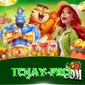 tojay Max Pro v5.7.8