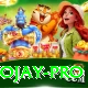 tojay Max Pro v5.7.8