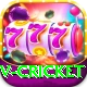 v cricket Apps (Tools & Injectors) Plus v3.2.2