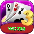 wc t20 Turbo v5.8.3