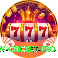 willow cricket Money Elite v5.3.1
