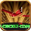www cricket com Pro Max v4.0.6